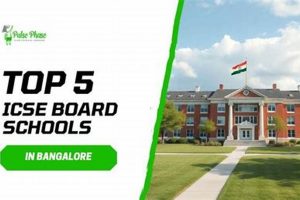 Top 10 Best ICSE Schools in Bangalore 2024 | Best Schools in America: Top Public & Private Options