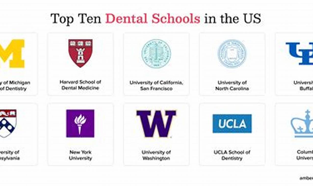 Top Dental Schools in America: 2024 Rankings | Best Schools in America: Top Public & Private Options