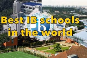Top-Rated Best IB Schools: Guide & Rankings Best Schools in America: Top Public & Private Options Top-Rated Best IB Schools: Guide & Rankings | Best Schools in America: Top Public & Private Options