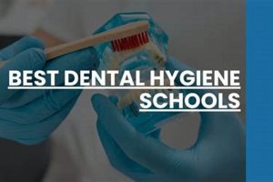 Top Dental Hygienist Schools: 2024 Guide | Best Schools in America: Top Public & Private Options