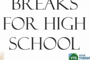 Good Brain Breaks For High School | Best Schools in America: Top Public & Private Options