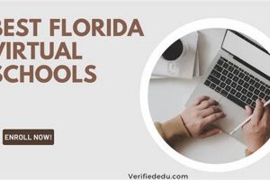 Top 10 Best Virtual Schools: Guide & Reviews Best Schools in America: Top Public & Private Options Top 10 Best Virtual Schools: Guide & Reviews | Best Schools in America: Top Public & Private Options