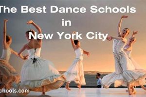 Top Dance Schools in Minnesota: Find Your Perfect Studio Best Schools in America: Top Public & Private Options Top Dance Schools in Minnesota: Find Your Perfect Studio | Best Schools in America: Top Public & Private Options