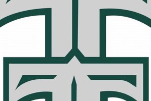 Themer Middle School: A New Approach | Best Schools in America: Top Public & Private Options