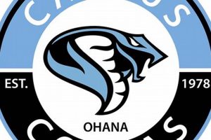 Cactus High School Calendar 2023-24 Best Schools in America: Top Public & Private Options Cactus High School Calendar 2023-24 | Best Schools in America: Top Public & Private Options