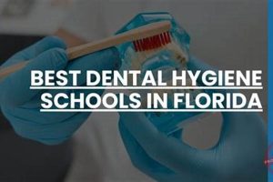 Top 10 Best Dental Hygiene Schools: 2024 Guide | Best Schools in America: Top Public & Private Options