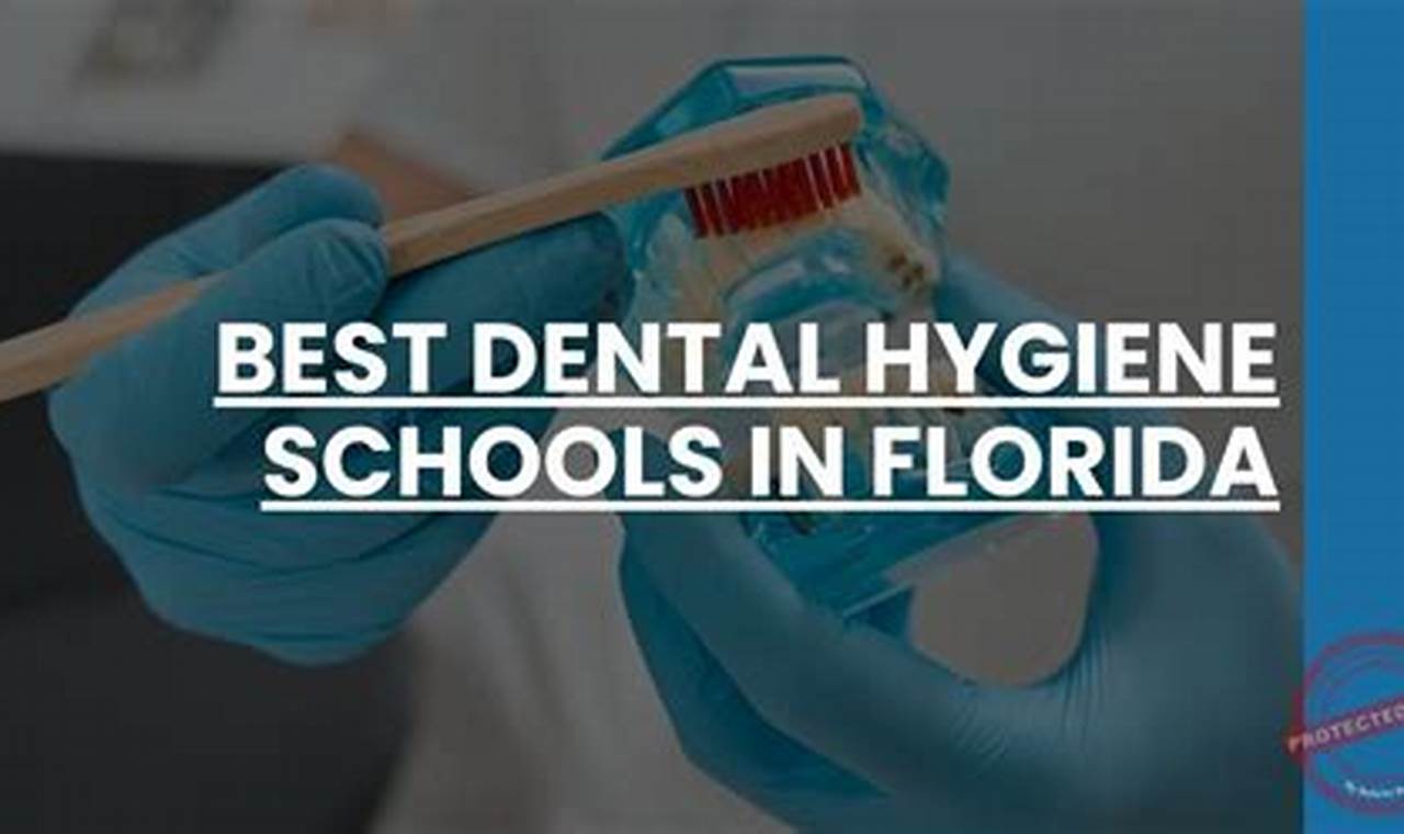 Top 10 Best Dental Hygiene Schools: 2024 Guide | Best Schools in America: Top Public & Private Options