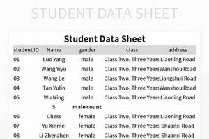 Using High-Quality Student Data: A Guide for High School Principals | Best Schools in America: Top Public & Private Options