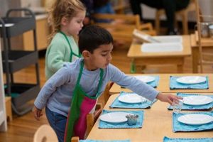 Top-Rated Montessori Schools in Dallas, TX | Best Schools in America: Top Public & Private Options