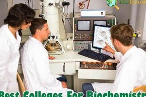 Top 10 Best Biochem Schools & Programs 2024 | Best Schools in America: Top Public & Private Options
