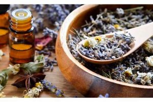 Best Herbalism Schools | Best Schools in America: Top Public & Private Options
