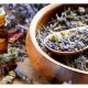 Best Herbalism Schools | Best Schools in America: Top Public & Private Options