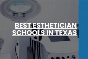 Top Esthetician Schools in Texas: 2024 Guide | Best Schools in America: Top Public & Private Options