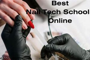 Top 10 Best Online Nail Tech Schools & Courses | Best Schools in America: Top Public & Private Options