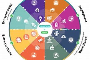 Best Certifications for High School Students: A Guide | Best Schools in America: Top Public & Private Options