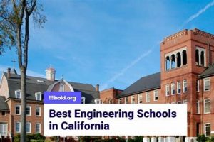 Top 10 California Engineering Schools: 2024 Guide | Best Schools in America: Top Public & Private Options