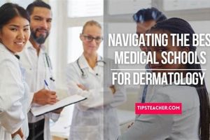 Top 10 Best Dermatology Schools: 2024 Guide | Best Schools in America: Top Public & Private Options