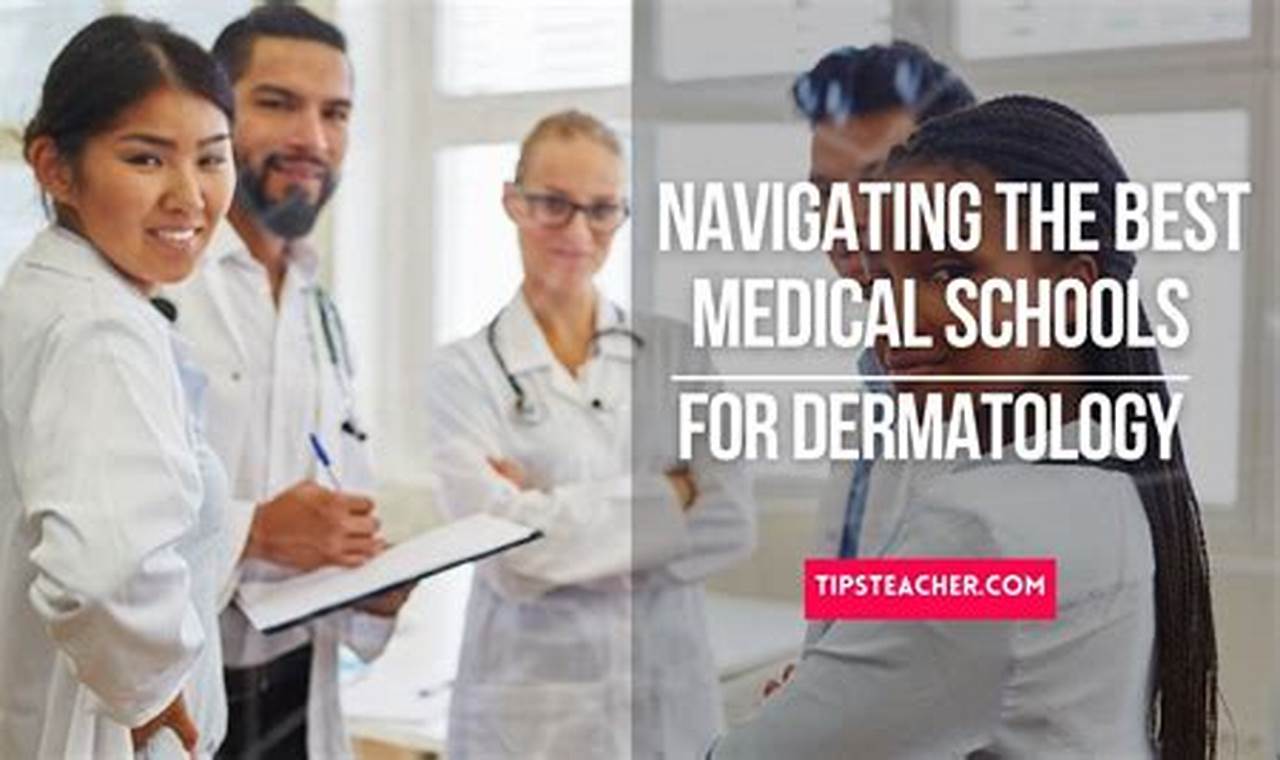 Top 10 Best Dermatology Schools: 2024 Guide | Best Schools in America: Top Public & Private Options