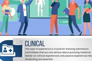 Top Extracurriculars for Medical School Success | Best Schools in America: Top Public & Private Options