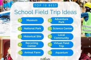 Best High School Field Trip Ideas & Destinations | Best Schools in America: Top Public & Private Options