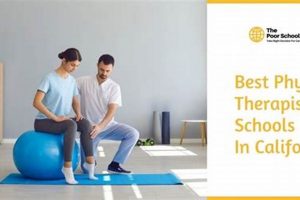Top Physical Therapy Schools in California 2024 | Best Schools in America: Top Public & Private Options