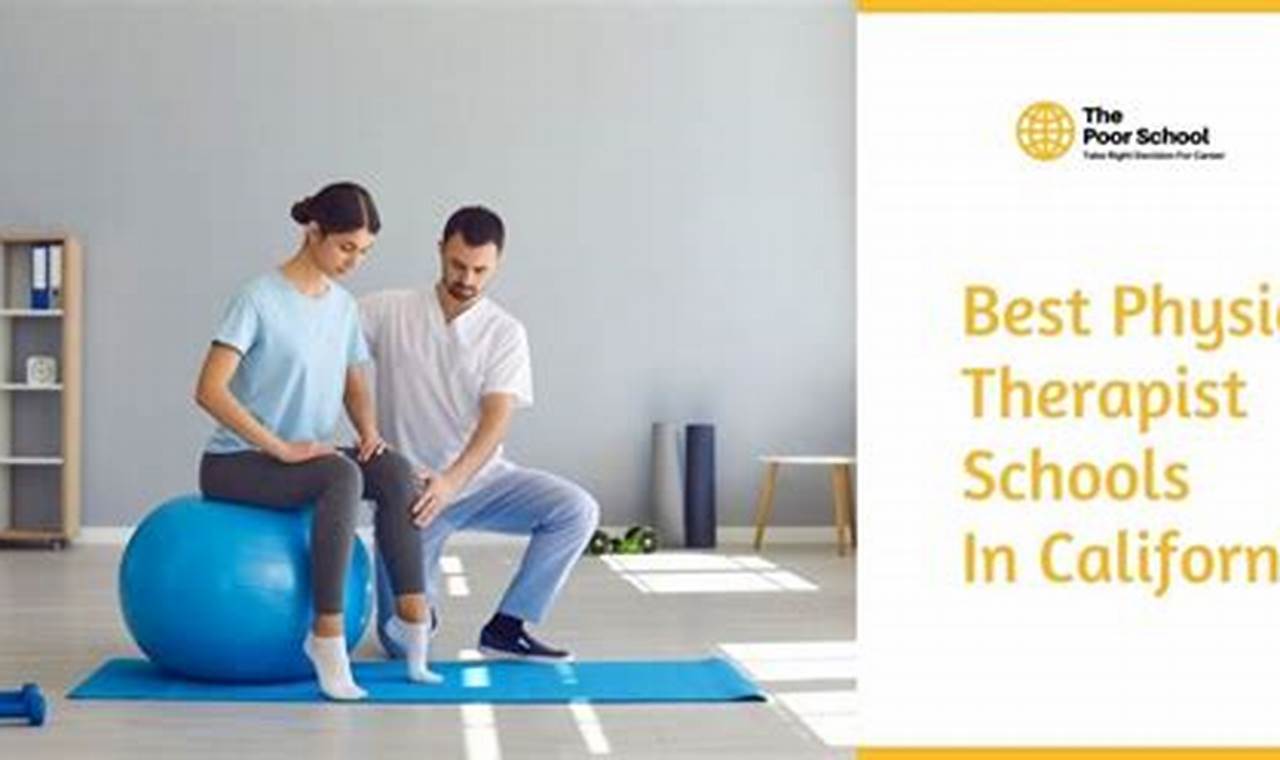 Top Physical Therapy Schools in California 2024 | Best Schools in America: Top Public & Private Options