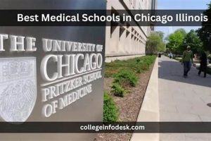 Top Medical Schools in Chicago: 2024 Guide | Best Schools in America: Top Public & Private Options