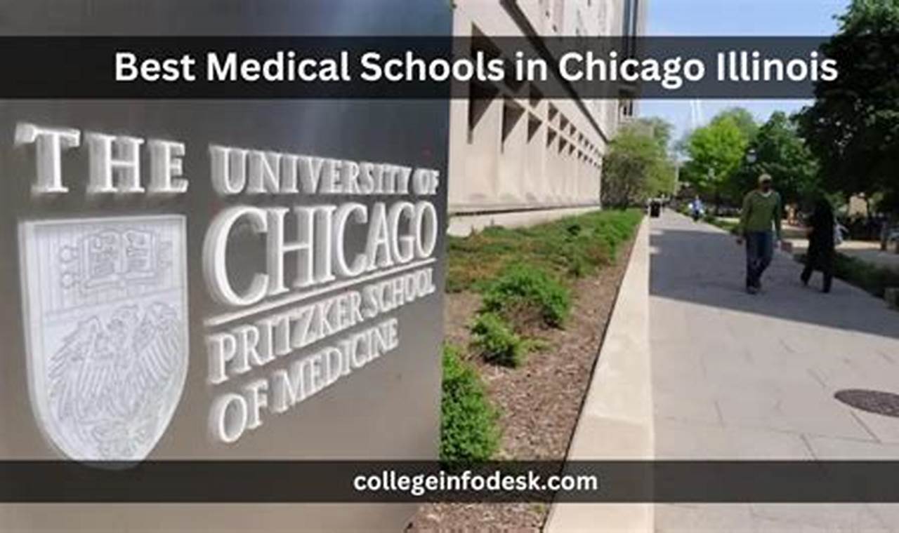 Top Medical Schools in Chicago: 2024 Guide | Best Schools in America: Top Public & Private Options