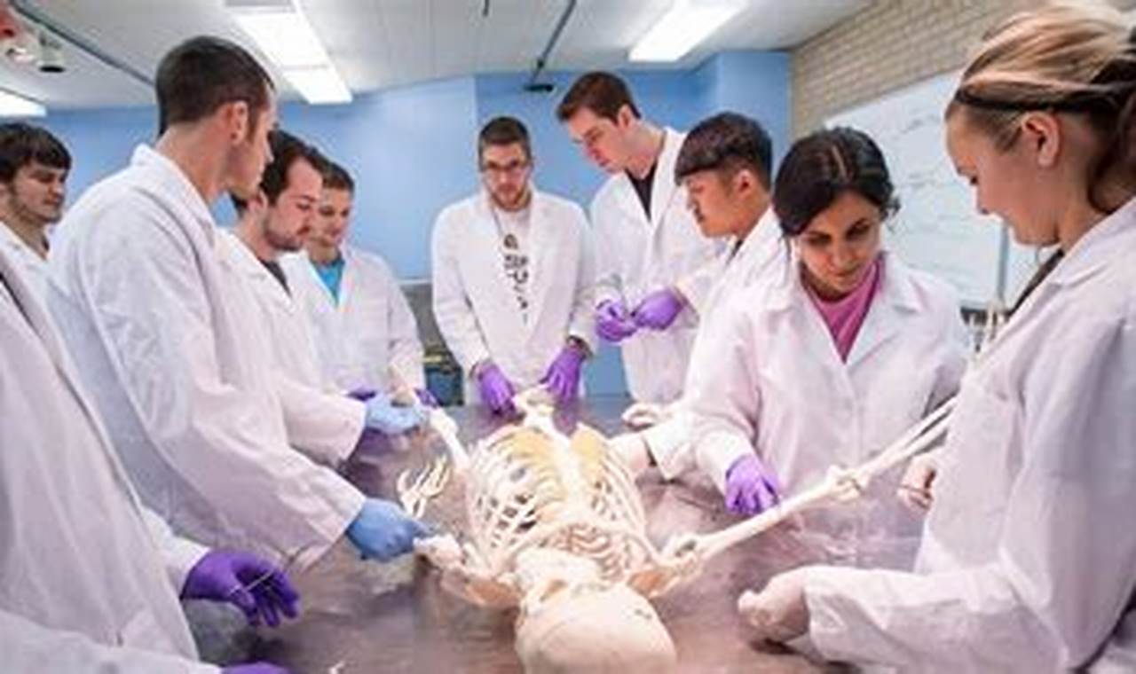 Best Chiropractic Schools In The Us | Best Schools in America: Top Public & Private Options