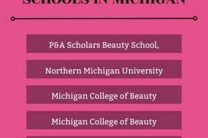 Top Cosmetology Schools in Michigan: 2024 Guide | Best Schools in America: Top Public & Private Options