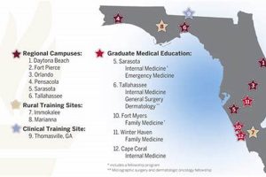 Top 5 Best Med Schools in Florida 2024 | Best Schools in America: Top Public & Private Options