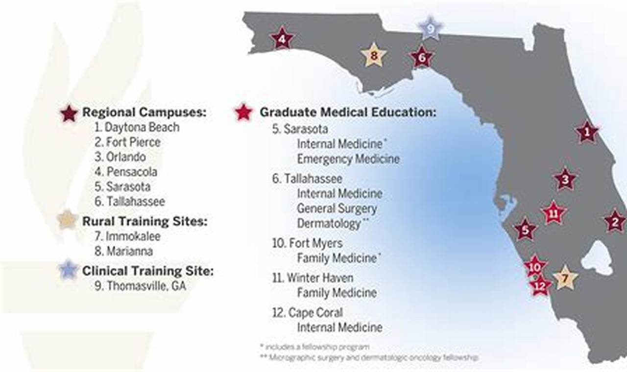 Top 5 Best Med Schools in Florida 2024 | Best Schools in America: Top Public & Private Options