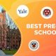 Top 5 Best Pre Law Undergraduate Colleges in 2024 | Best Schools in America: Top Public & Private Options
