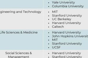 Top East Coast Colleges (Non-Ivy) | Best Schools in America: Top Public & Private Options