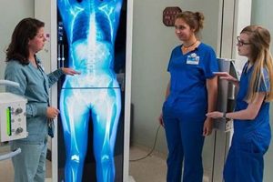 Top Radiology Schools in Florida: 2024 Guide | Best Schools in America: Top Public & Private Options