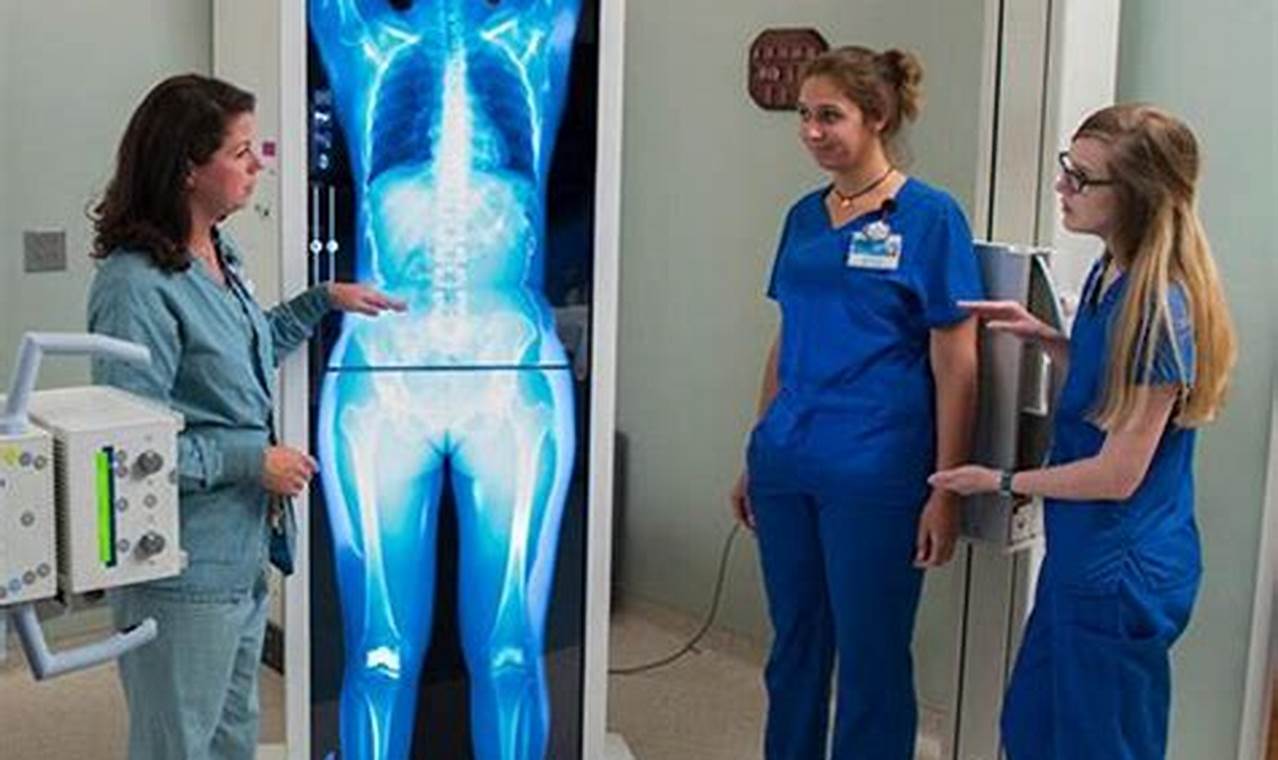 Top Radiology Schools in Florida: 2024 Guide | Best Schools in America: Top Public & Private Options