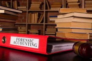 Top 10 Best Forensic Accounting Schools: 2024 Guide | Best Schools in America: Top Public & Private Options