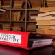 Top 10 Best Forensic Accounting Schools: 2024 Guide | Best Schools in America: Top Public & Private Options