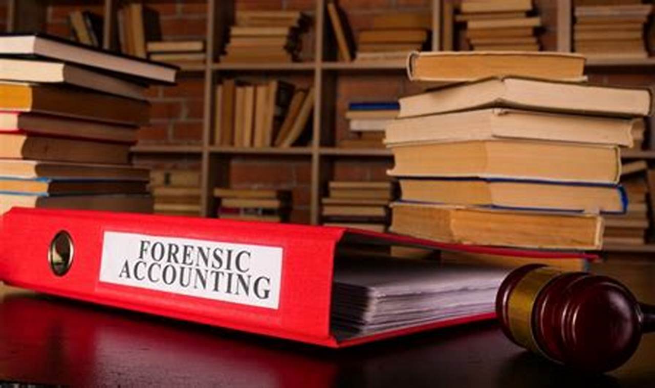 Top 10 Best Forensic Accounting Schools: 2024 Guide | Best Schools in America: Top Public & Private Options