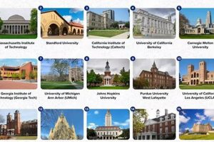 Top 10 Engineering Universities in the US 2024 | Best Schools in America: Top Public & Private Options