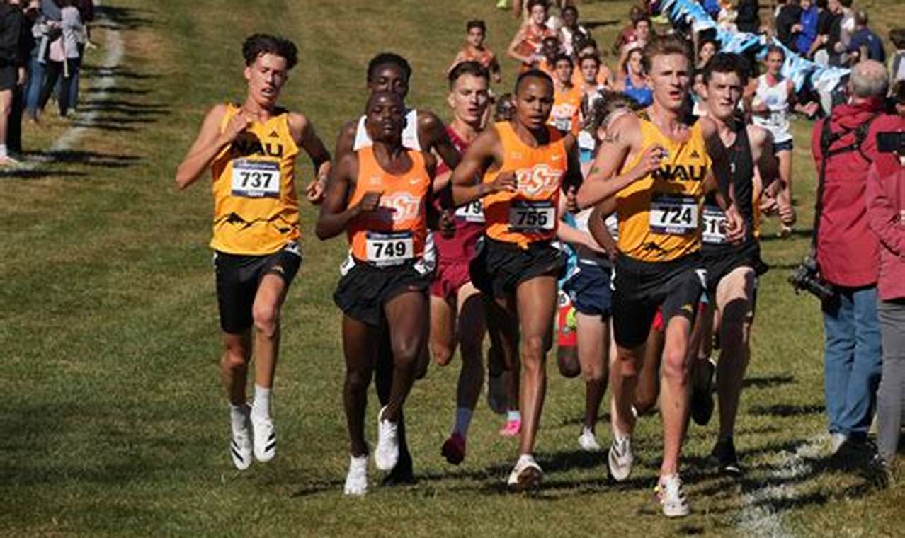 MA High School XC Championships 2024 | Best Schools in America: Top Public & Private Options
