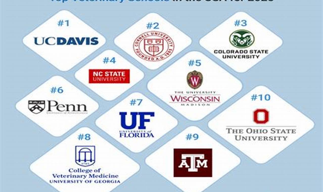 Top 10 Best Vet Schools: 2024 Rankings | Best Schools in America: Top Public & Private Options