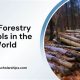 Top 10 Best Forestry Schools: 2024 Rankings | Best Schools in America: Top Public & Private Options
