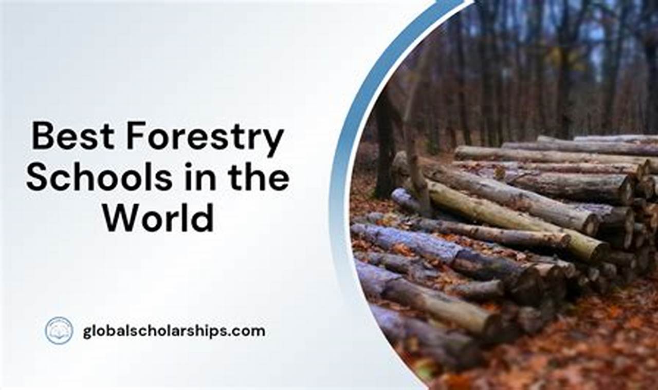 Top 10 Best Forestry Schools: 2024 Rankings | Best Schools in America: Top Public & Private Options