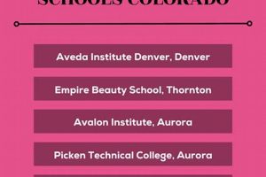 Top Cosmetology Schools in Colorado: 2024 Guide | Best Schools in America: Top Public & Private Options