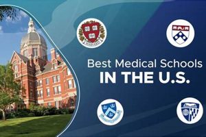 Top International Medical Schools for Americans: A Guide | Best Schools in America: Top Public & Private Options