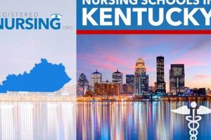 Top Nursing Schools in Kentucky 2024 | Best Schools in America: Top Public & Private Options